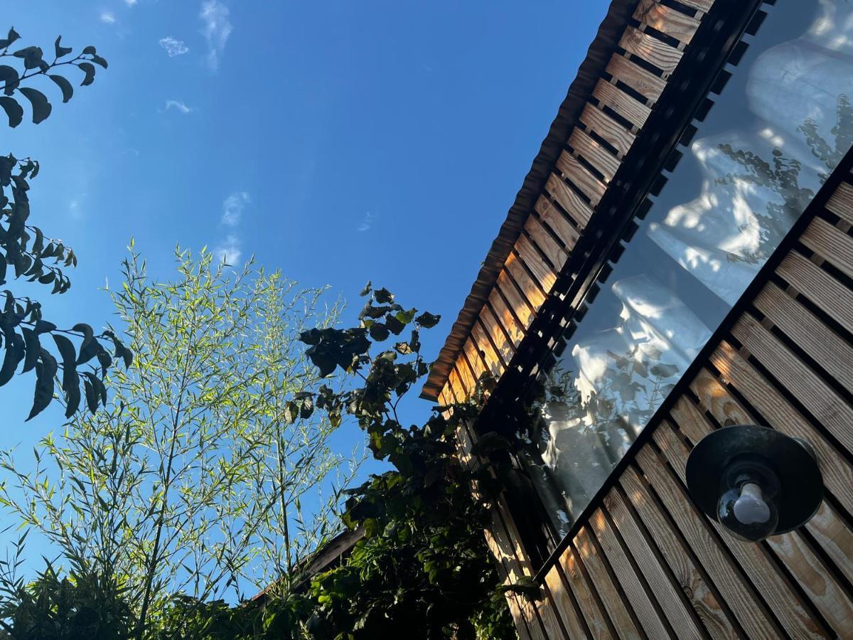 La Cabane Du 375, Piscine Clim,Jacuzzi Et Insolite Saint-Jean-de-Moirans Εξωτερικό φωτογραφία